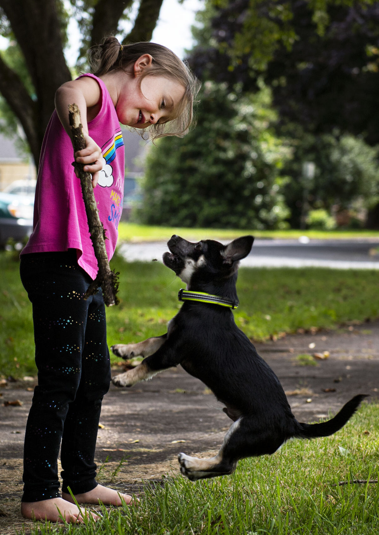 A girl and her 'air bud'